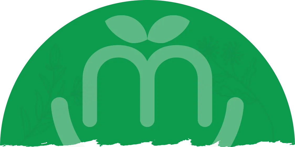 Oilive oil premium salad ingredients Kerala